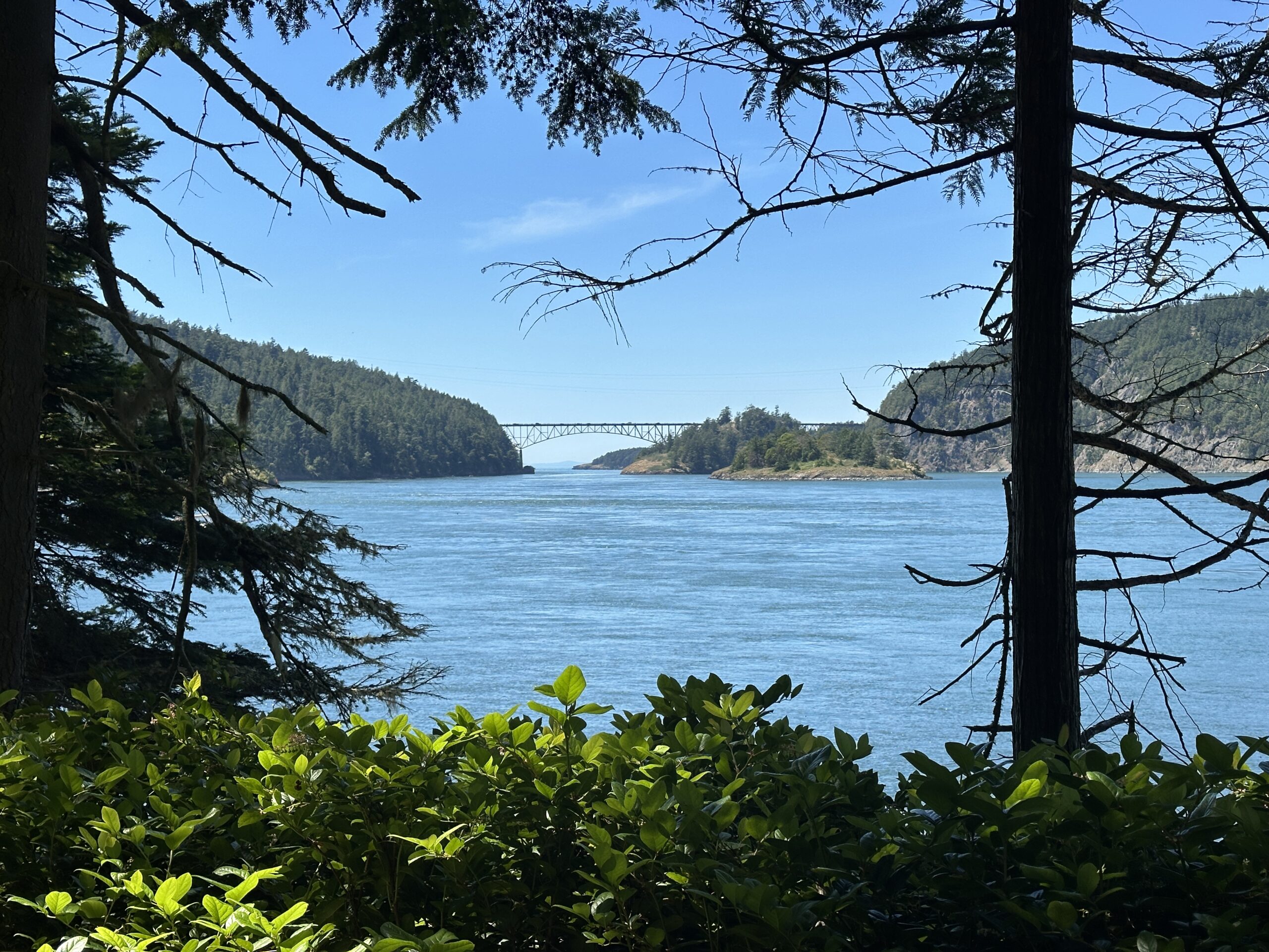 Web Development on Whidbey Island